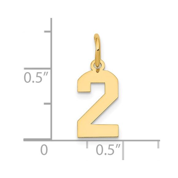 14k Yellow Gold, Athletic Collection, Small Polished Number 2 Pendant - Picture 4 of 5